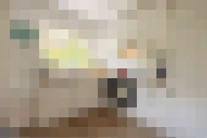 Zwaagstraat 31 Amsterdam thumbnail 7