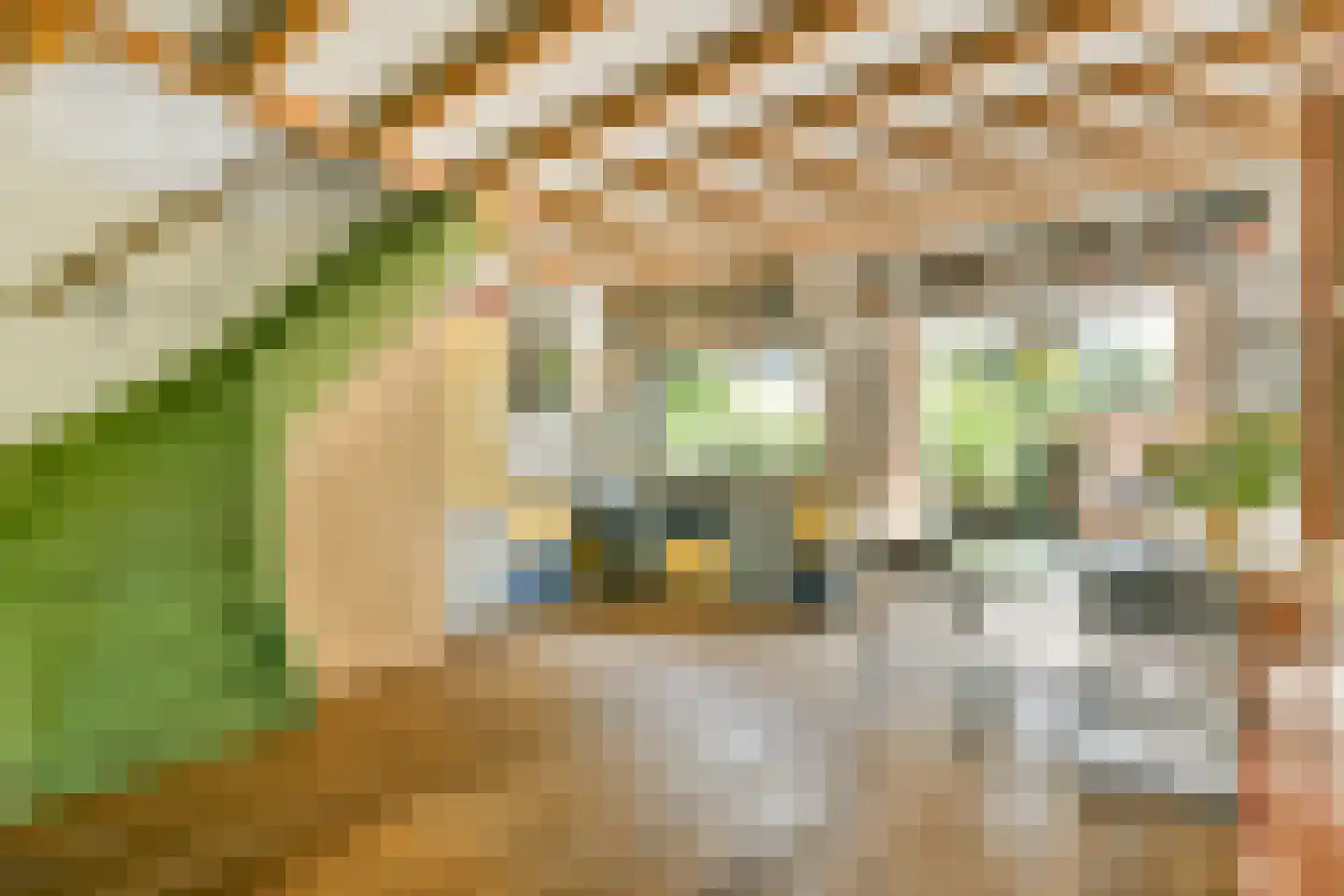 Zwaagstraat 34 Amsterdam thumbnail 10