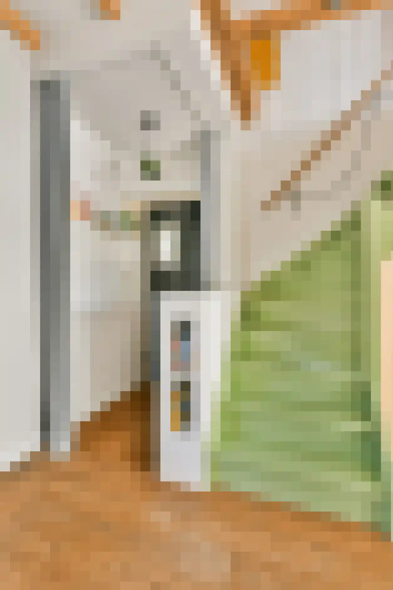 Zwaagstraat 34 Amsterdam thumbnail 19