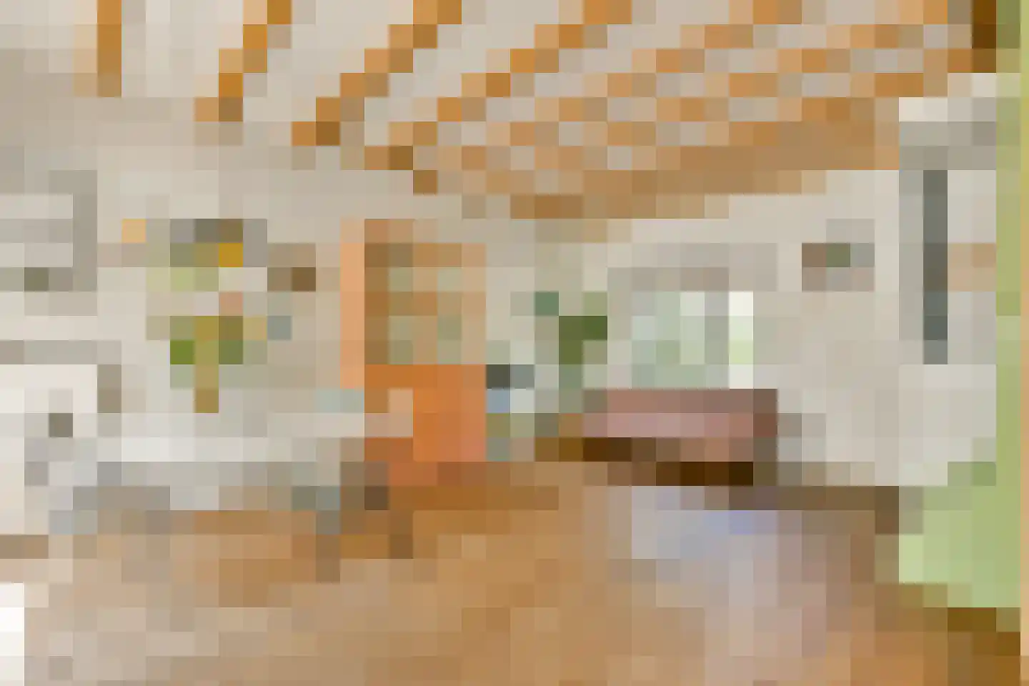 Zwaagstraat 34 Amsterdam thumbnail 9