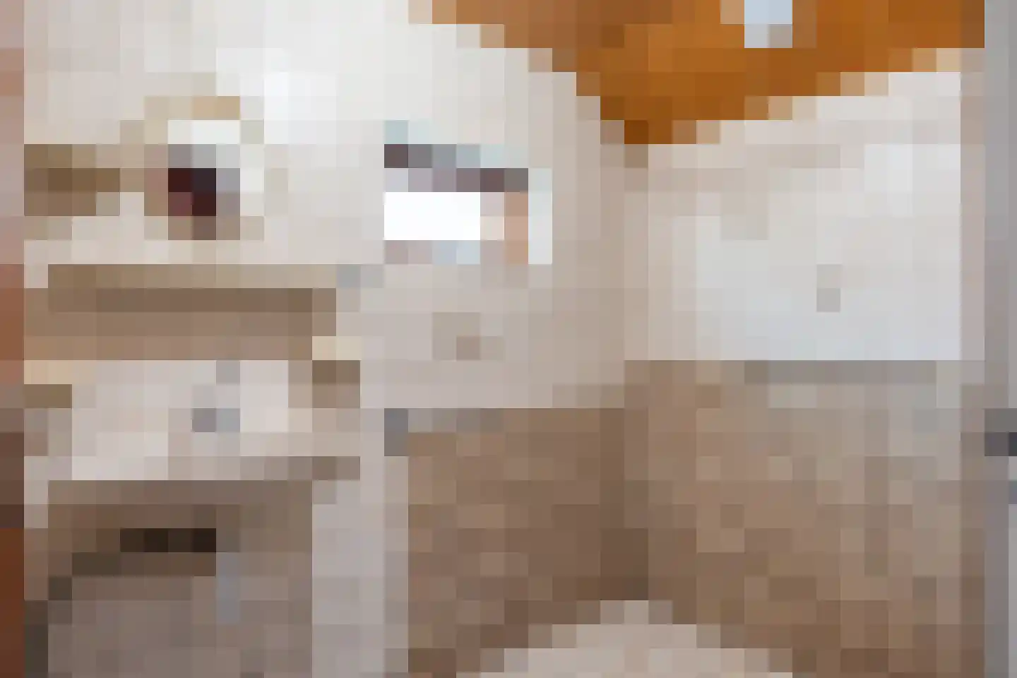 Zwaagweg 25 Woldendorp thumbnail 27