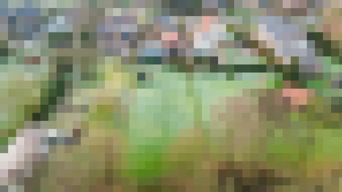 Zwaagweg 25 Woldendorp thumbnail 55