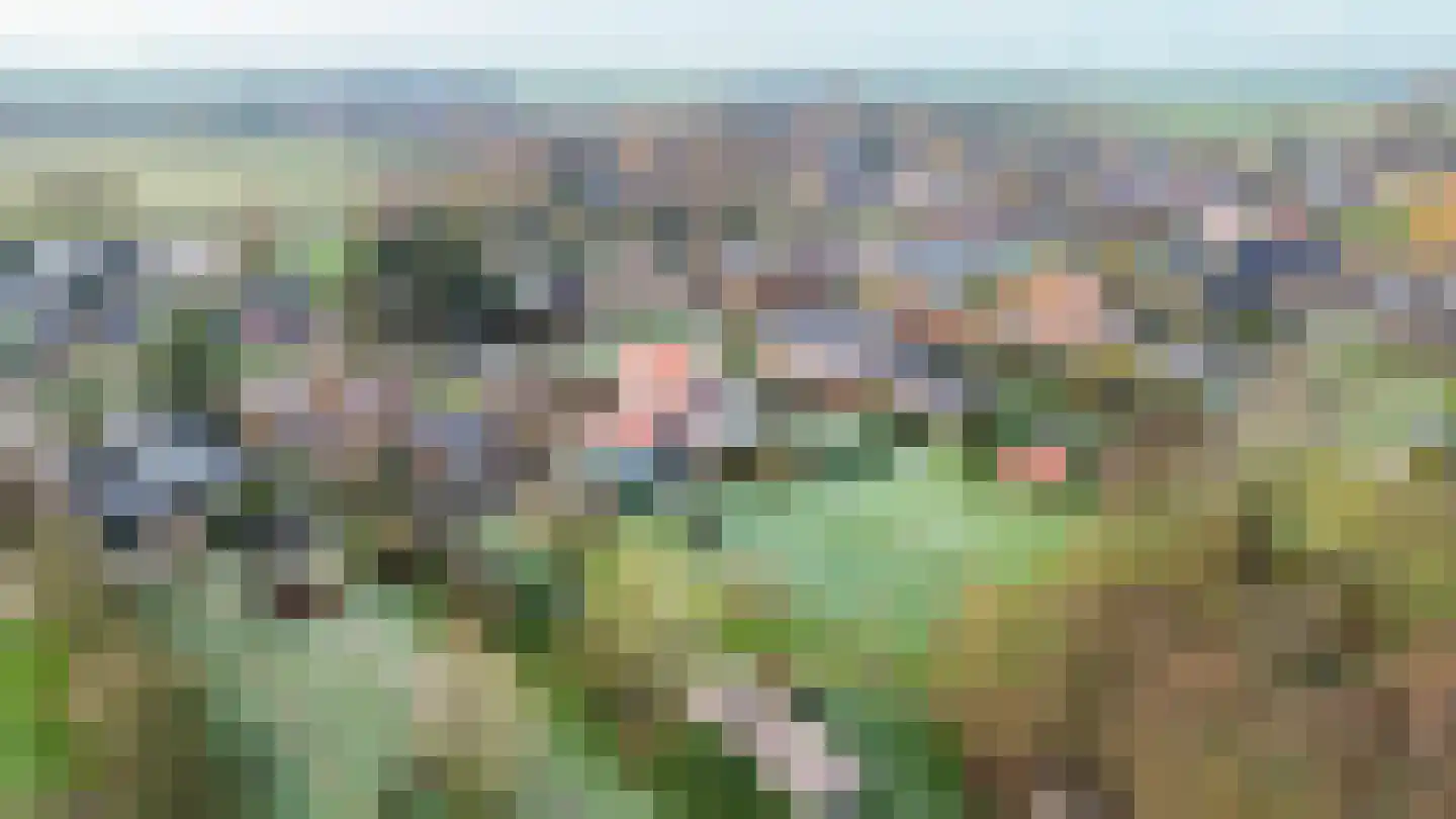 Zwaagweg 25 Woldendorp thumbnail 56