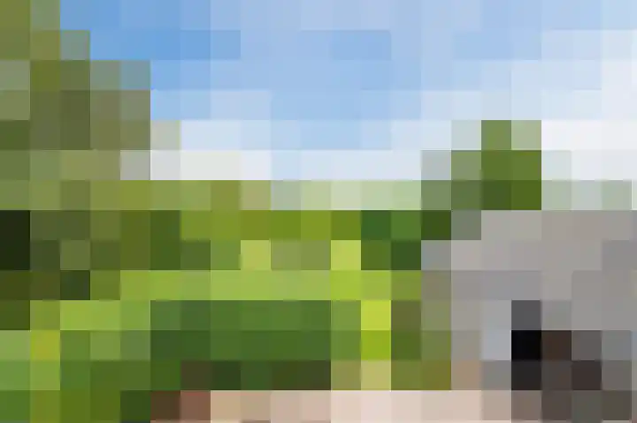 Zwaagweg 29 Woldendorp thumbnail 38