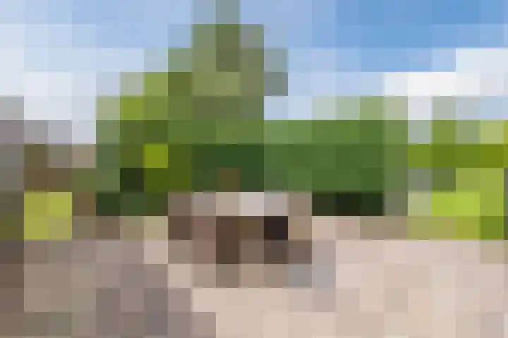 Zwaagweg 29 Woldendorp thumbnail 39
