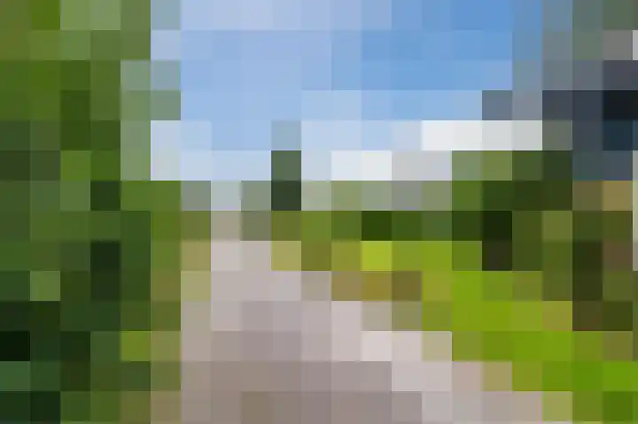 Zwaagweg 29 Woldendorp thumbnail 4