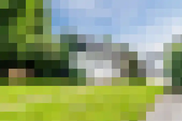 Zwaagweg 29 Woldendorp thumbnail 45