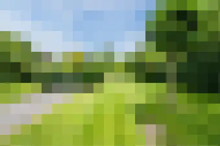 Zwaagweg 29 Woldendorp thumbnail 46