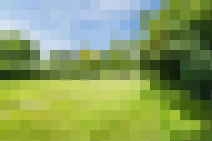 Zwaagweg 29 Woldendorp thumbnail 47