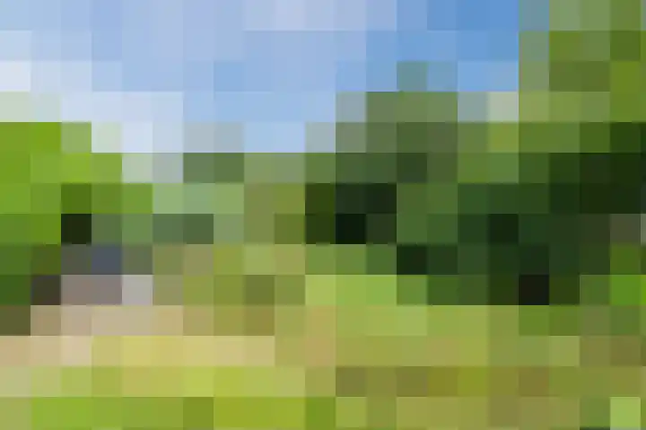 Zwaagweg 29 Woldendorp thumbnail 48