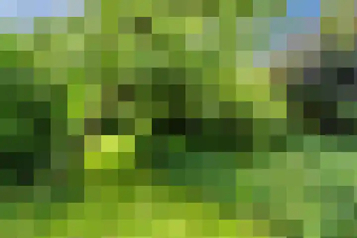 Zwaagweg 29 Woldendorp thumbnail 49