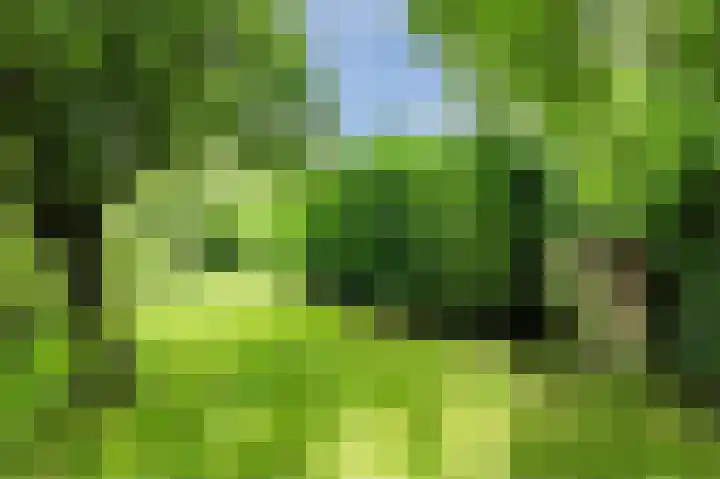 Zwaagweg 29 Woldendorp thumbnail 50
