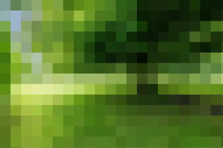 Zwaagweg 29 Woldendorp thumbnail 51