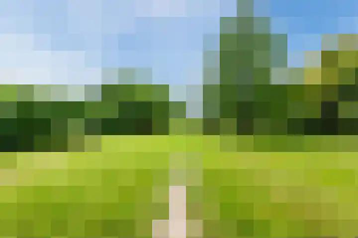 Zwaagweg 29 Woldendorp thumbnail 52