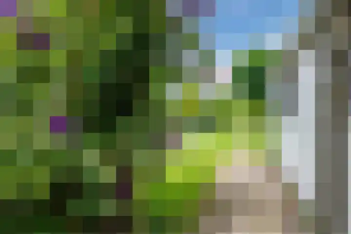 Zwaagweg 29 Woldendorp thumbnail 53