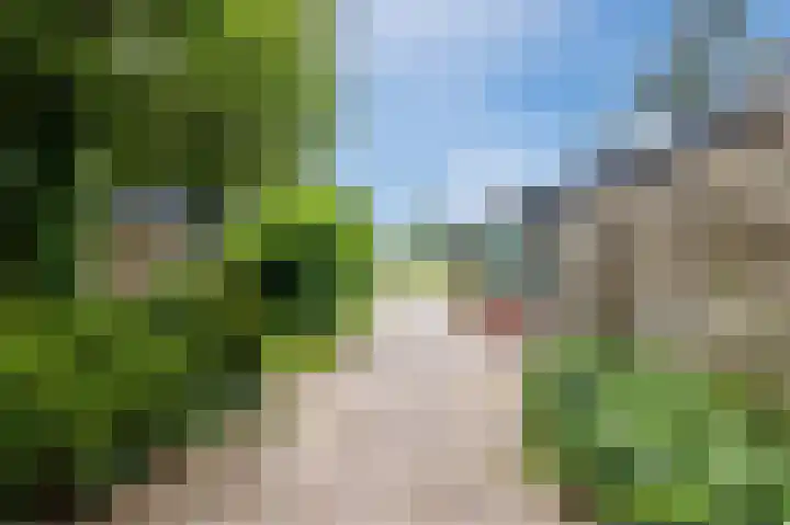 Zwaagweg 29 Woldendorp thumbnail 57