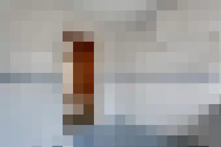 Zwaagweg 5 Woldendorp thumbnail 21