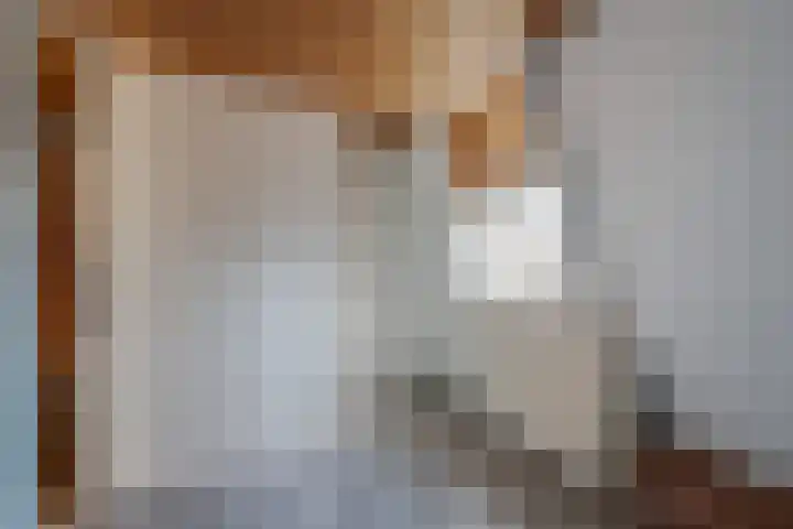 Zwaagweg 5 Woldendorp thumbnail 31