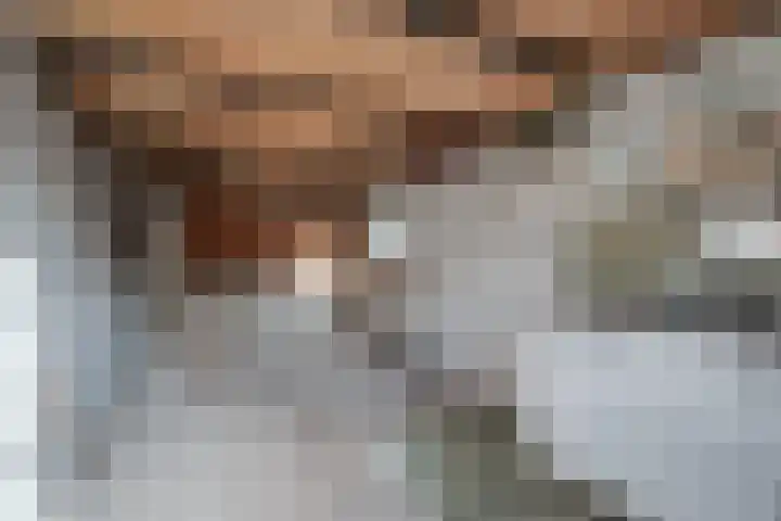 Zwaagweg 5 Woldendorp thumbnail 36