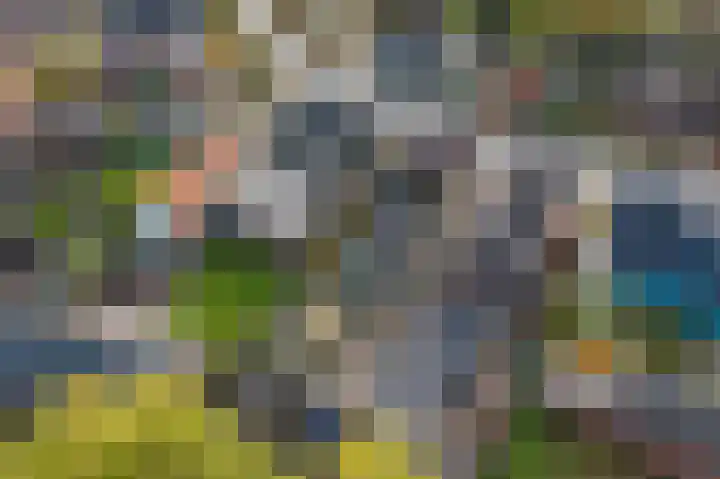 Zwaagweg 5 Woldendorp thumbnail 38