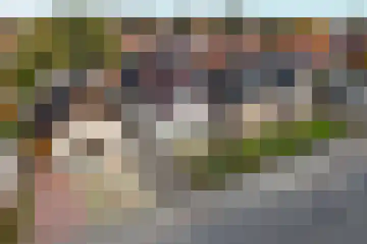 Zwaagweg 5 Woldendorp thumbnail 7