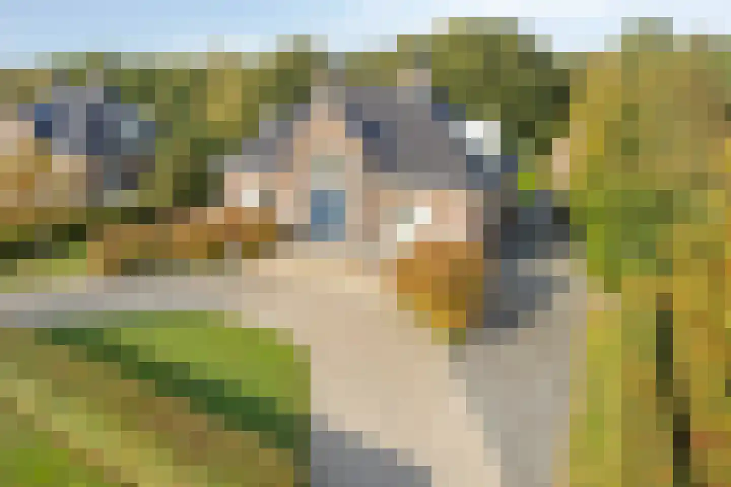 Zwaai 4 Appelscha
