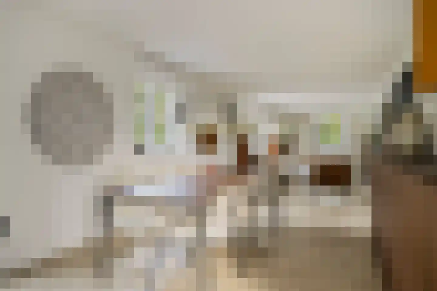 Zwaai 4 Appelscha thumbnail 11