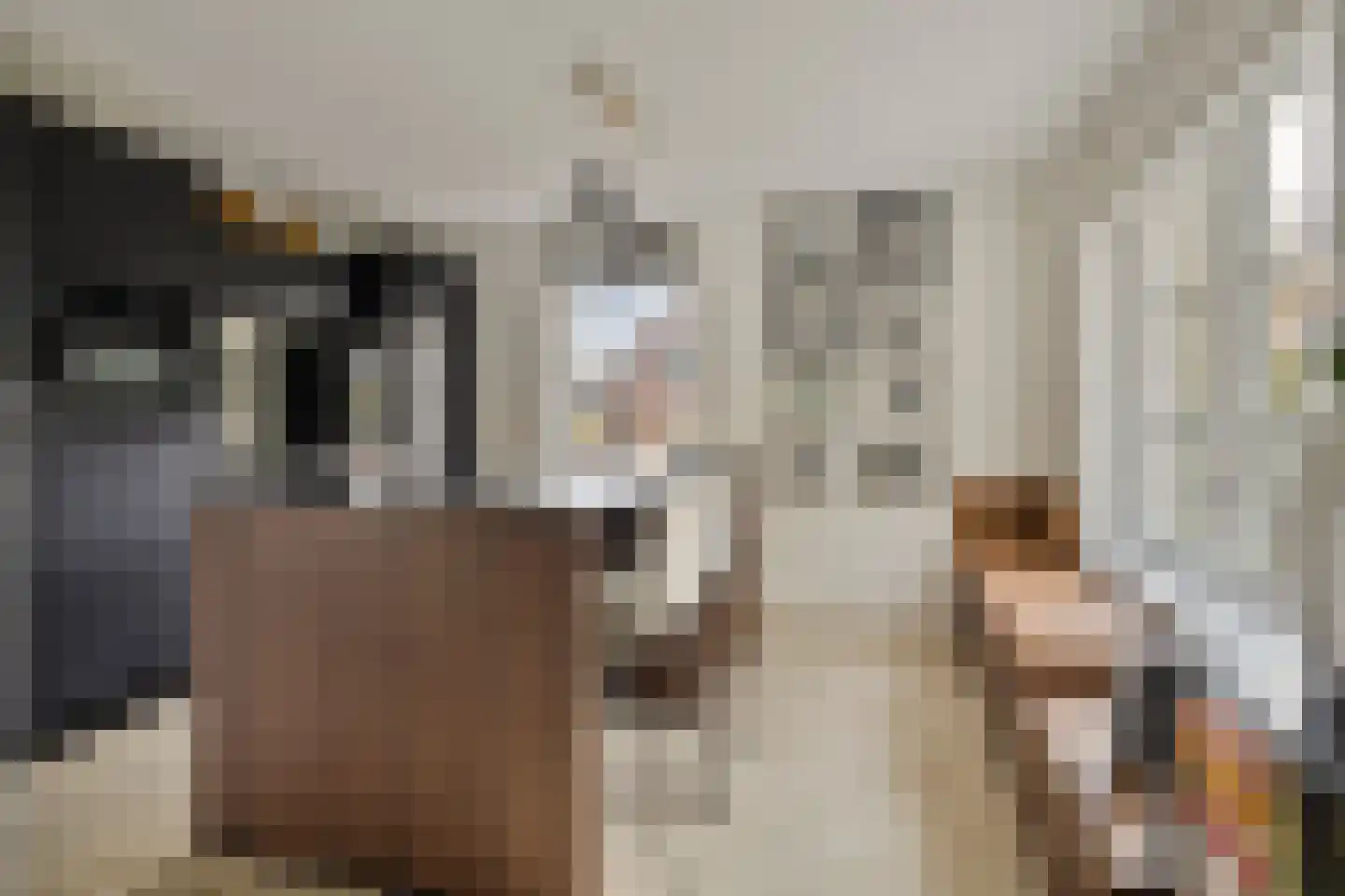 Zwaai 4 Appelscha thumbnail 17