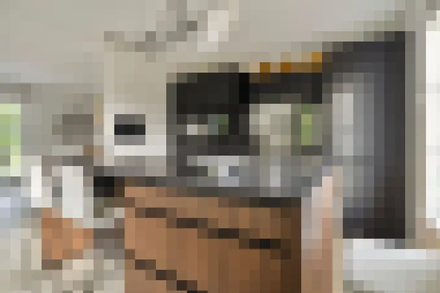 Zwaai 4 Appelscha thumbnail 19