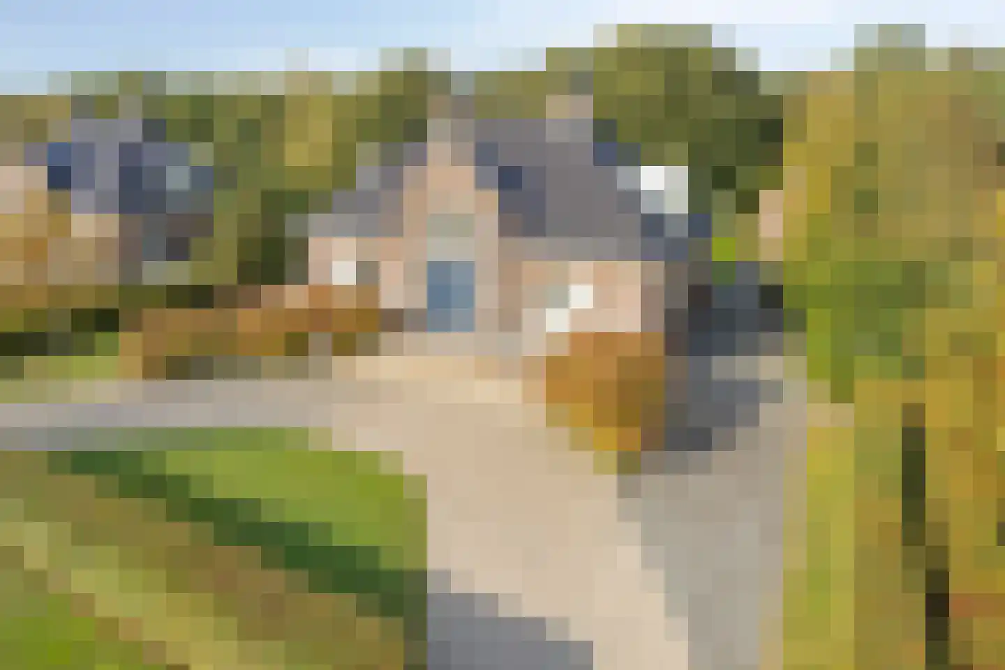 Zwaai 4 Appelscha foto 2