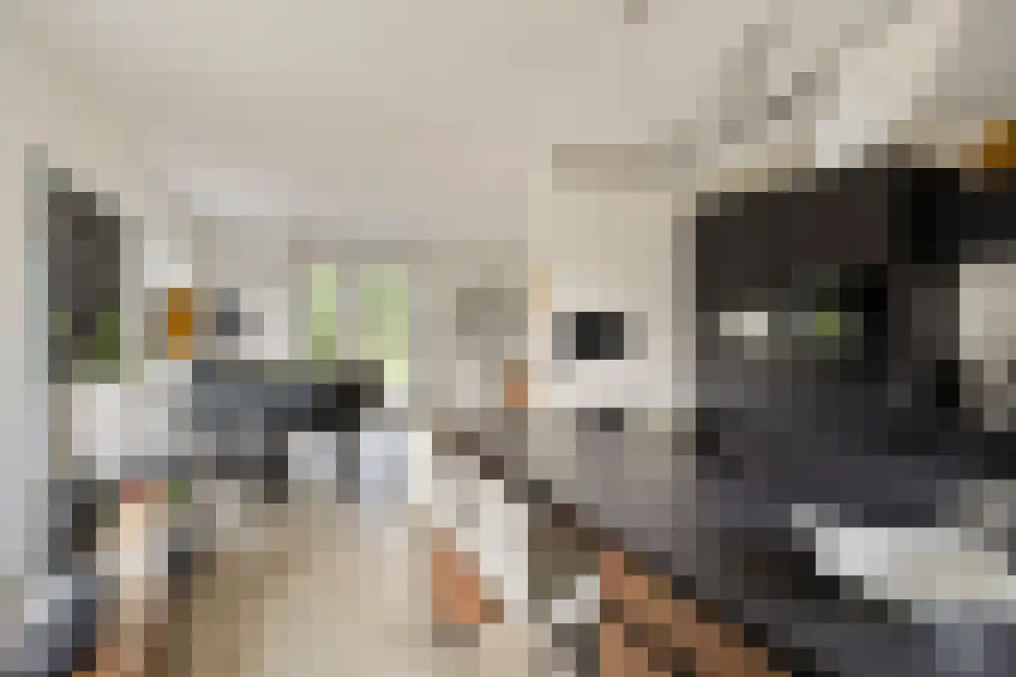 Zwaai 4 Appelscha thumbnail 20