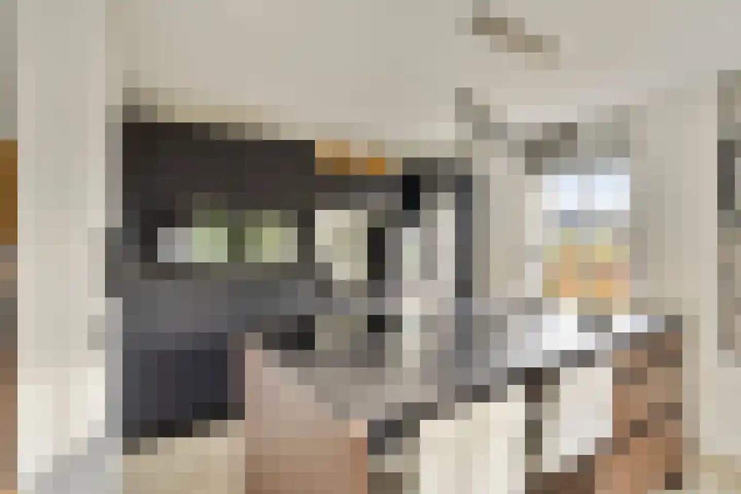Zwaai 4 Appelscha thumbnail 23