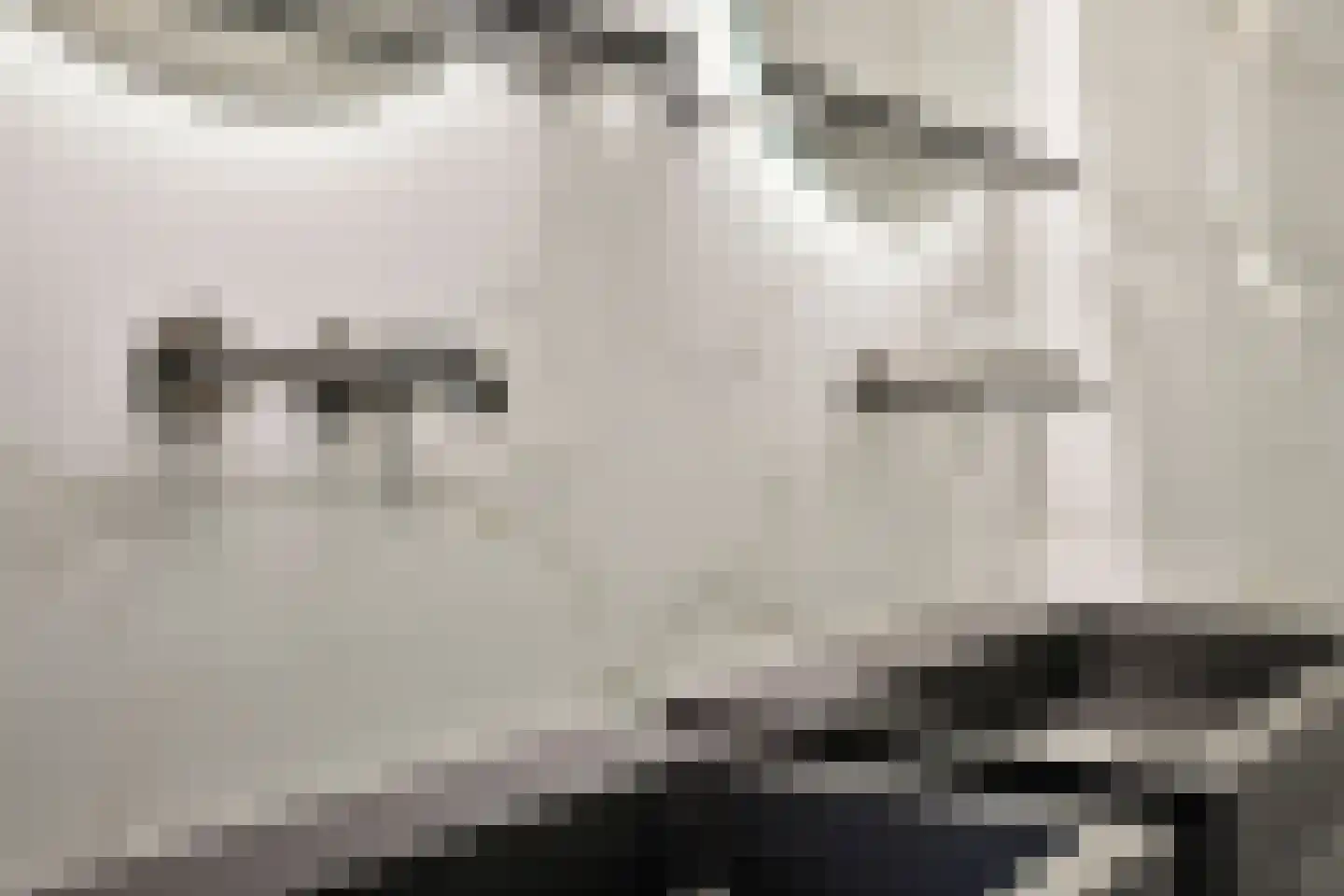 Zwaai 4 Appelscha thumbnail 28
