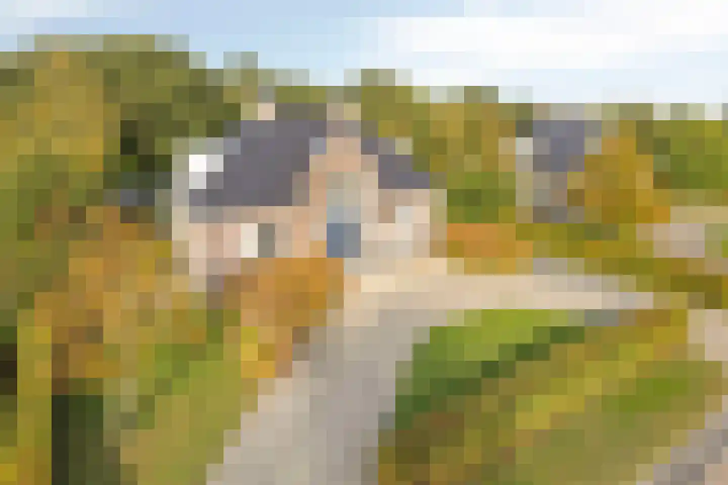 Zwaai 4 Appelscha foto 3