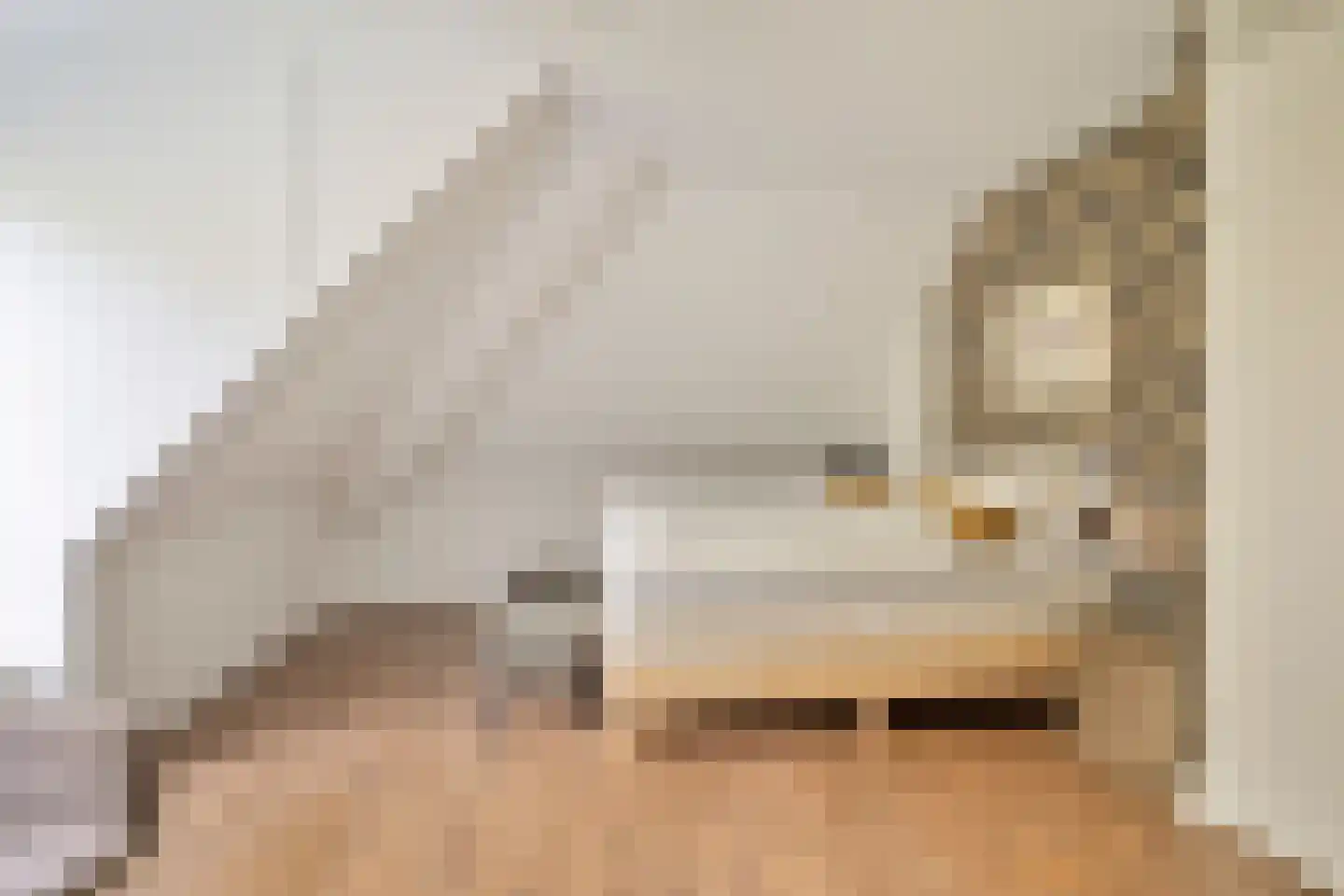 Zwaai 4 Appelscha thumbnail 34