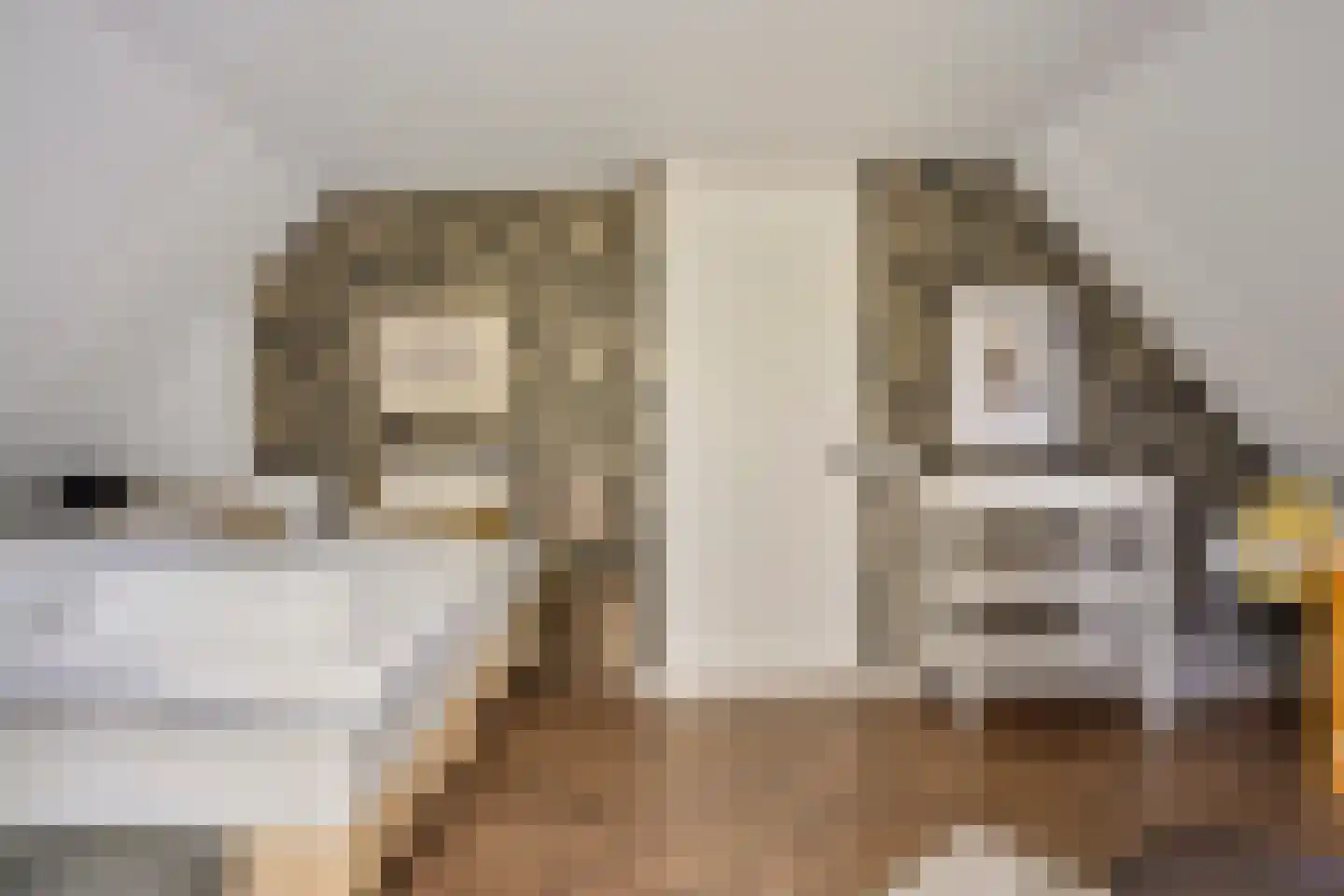 Zwaai 4 Appelscha thumbnail 37