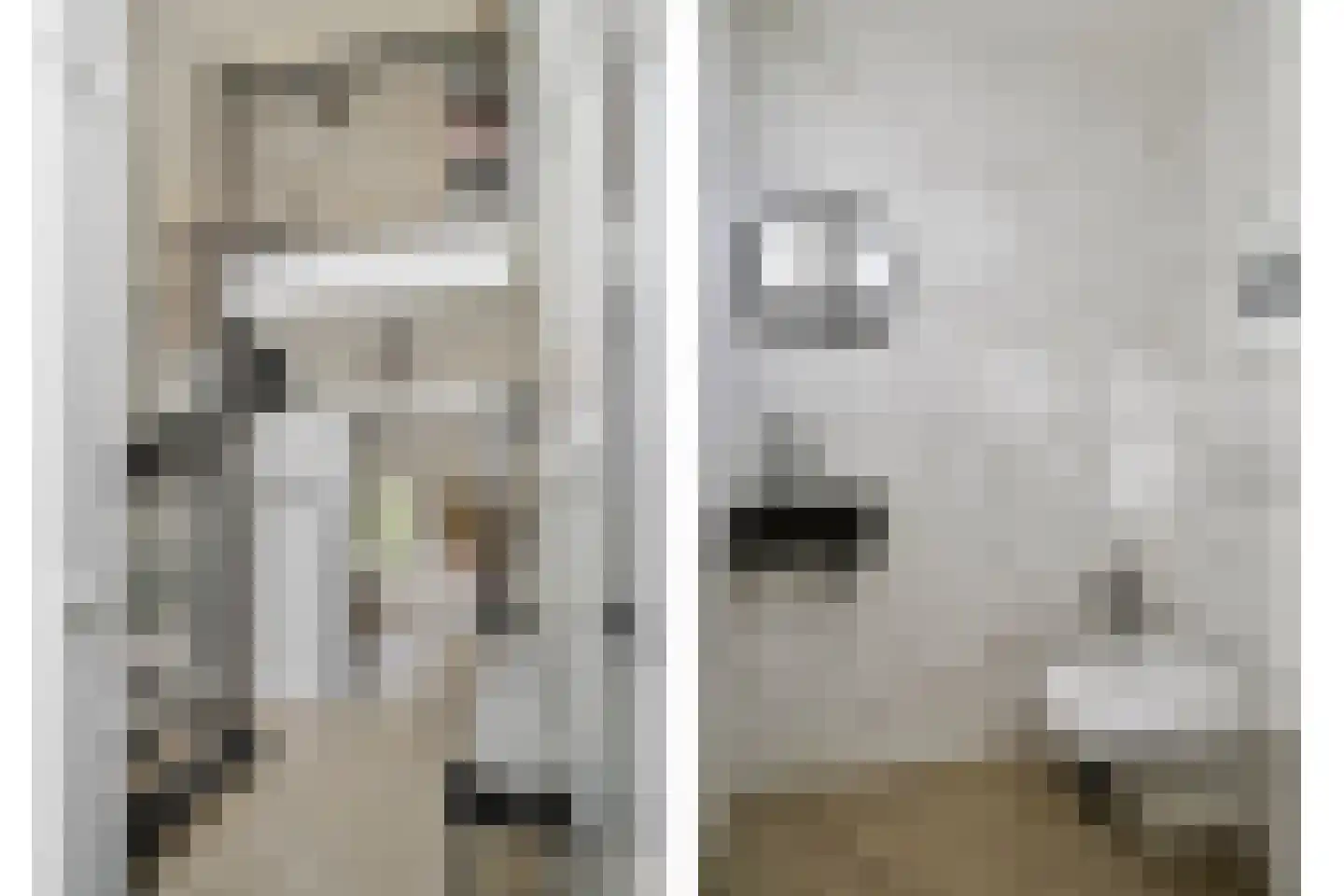 Zwaai 4 Appelscha thumbnail 4