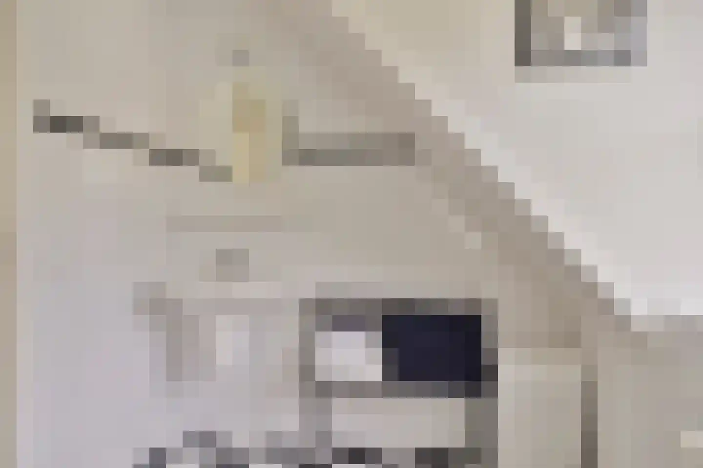 Zwaai 4 Appelscha thumbnail 42