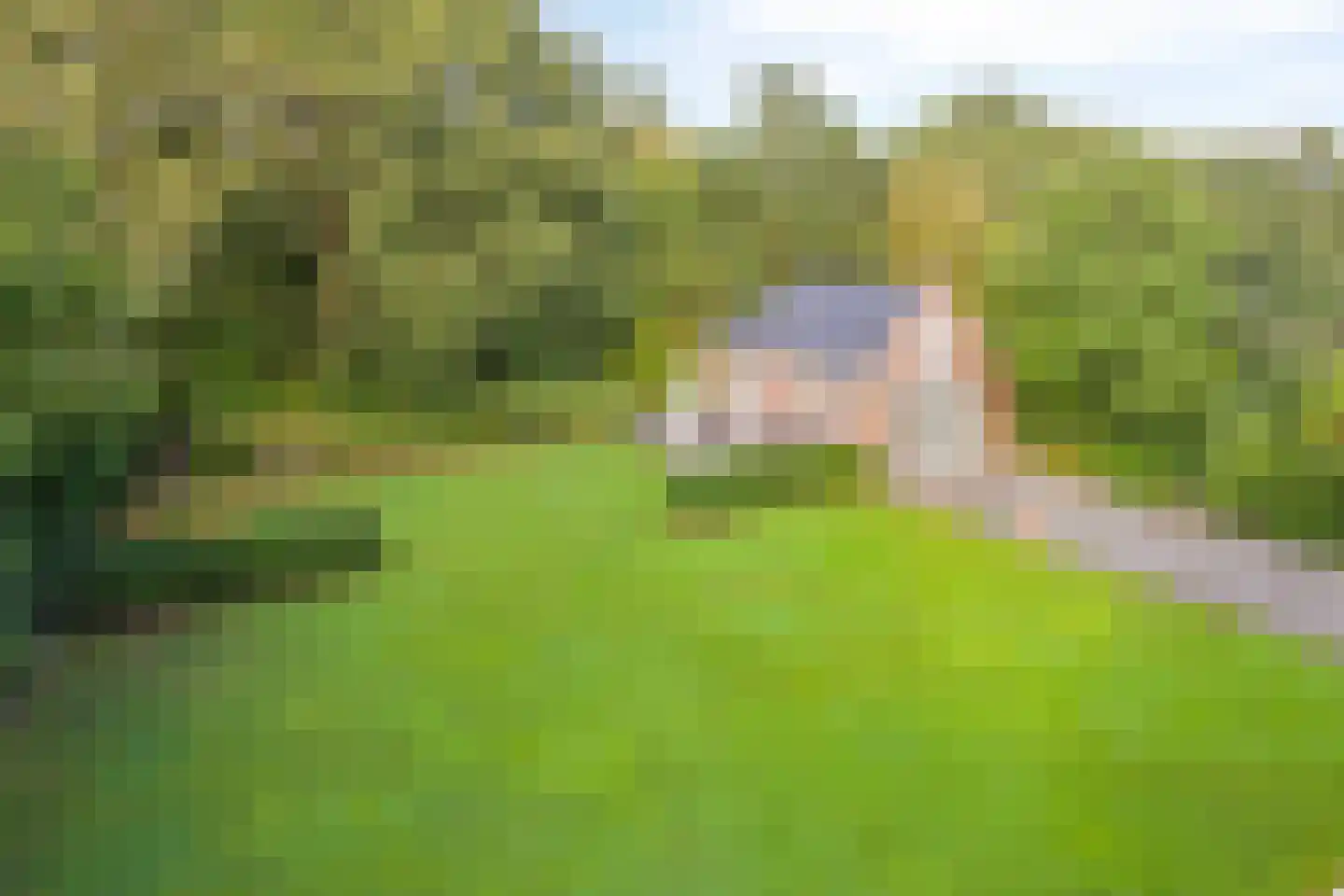 Zwaai 4 Appelscha thumbnail 46