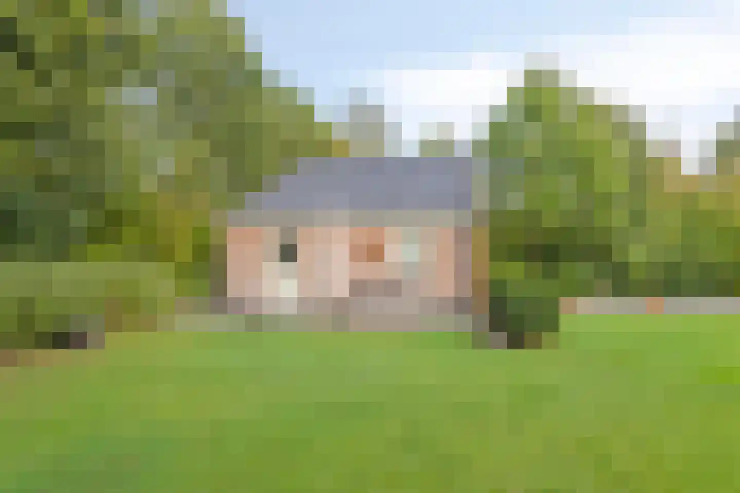 Zwaai 4 Appelscha thumbnail 53