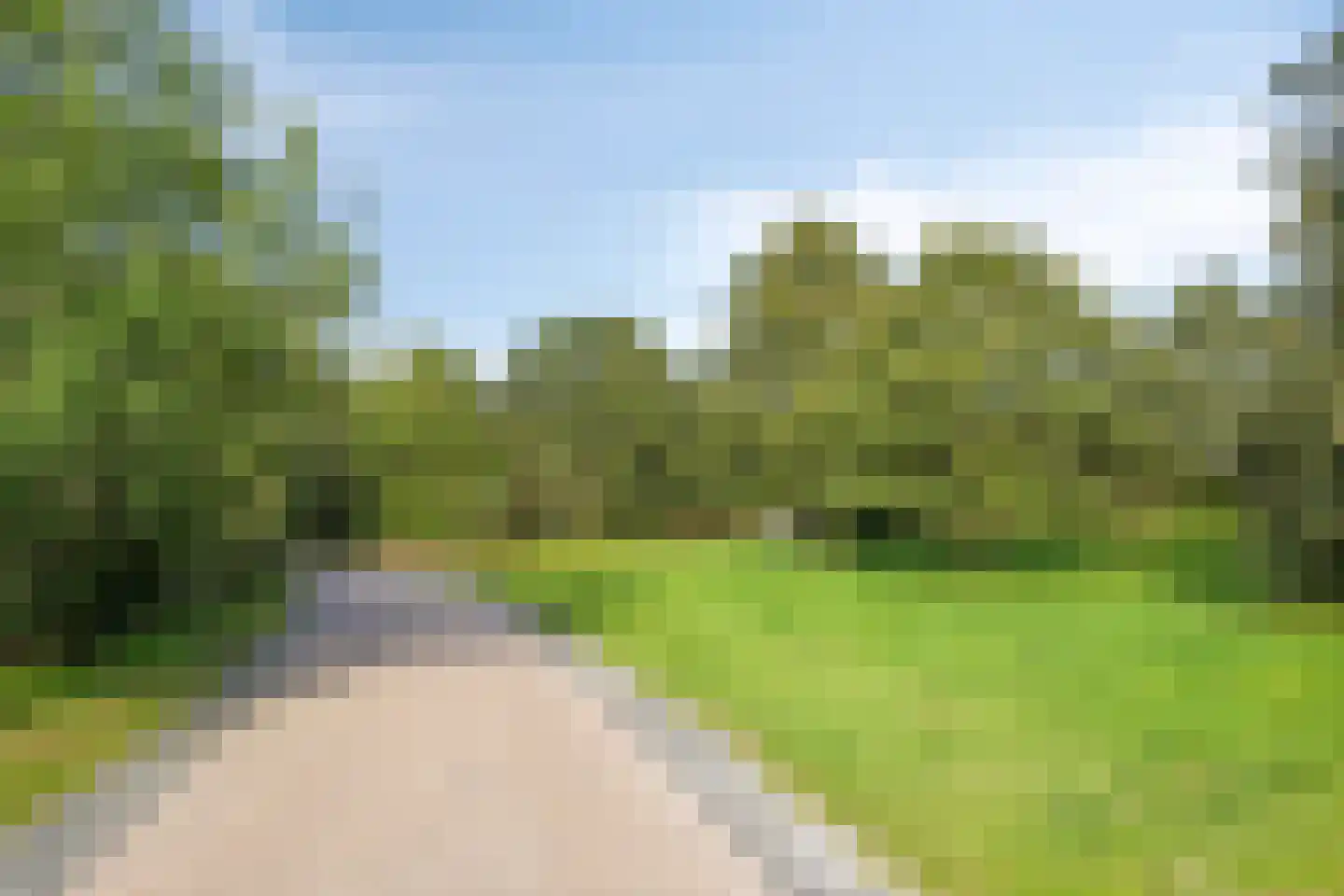Zwaai 4 Appelscha thumbnail 63