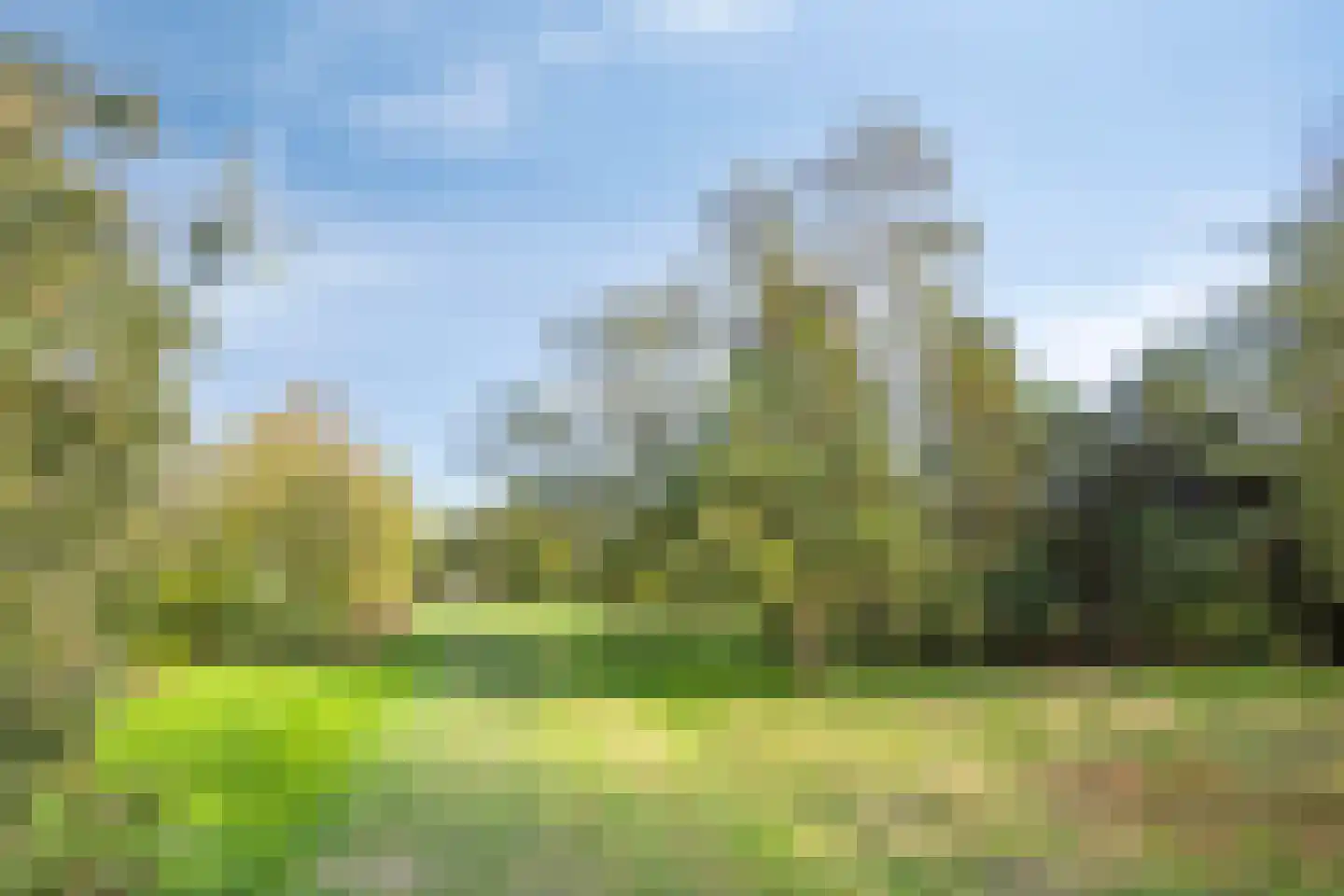 Zwaai 4 Appelscha thumbnail 64