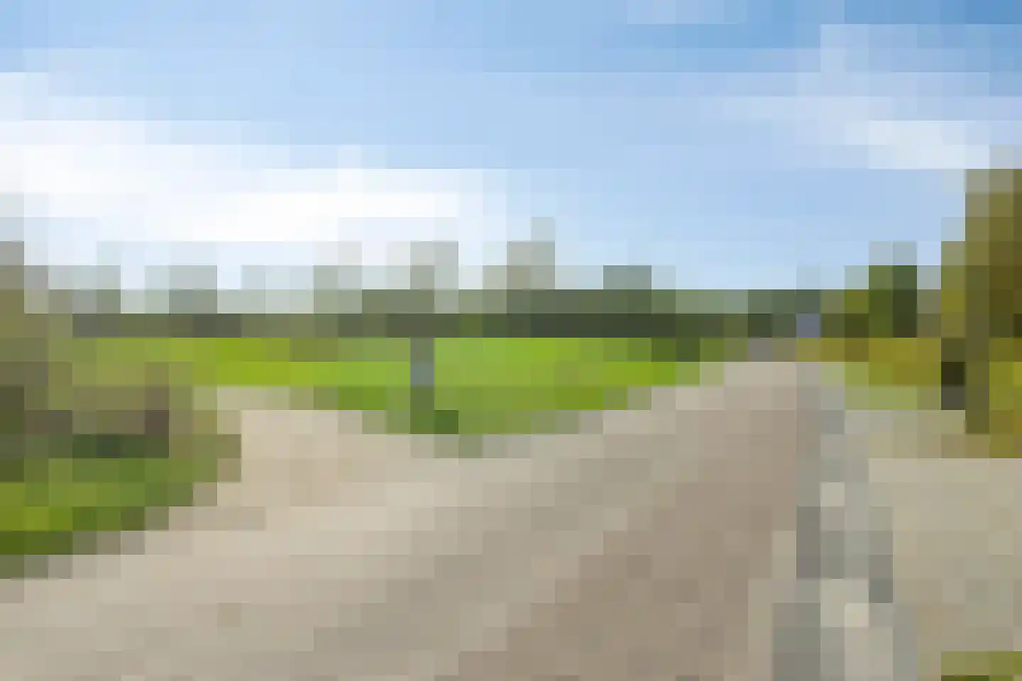 Zwaai 4 Appelscha thumbnail 65