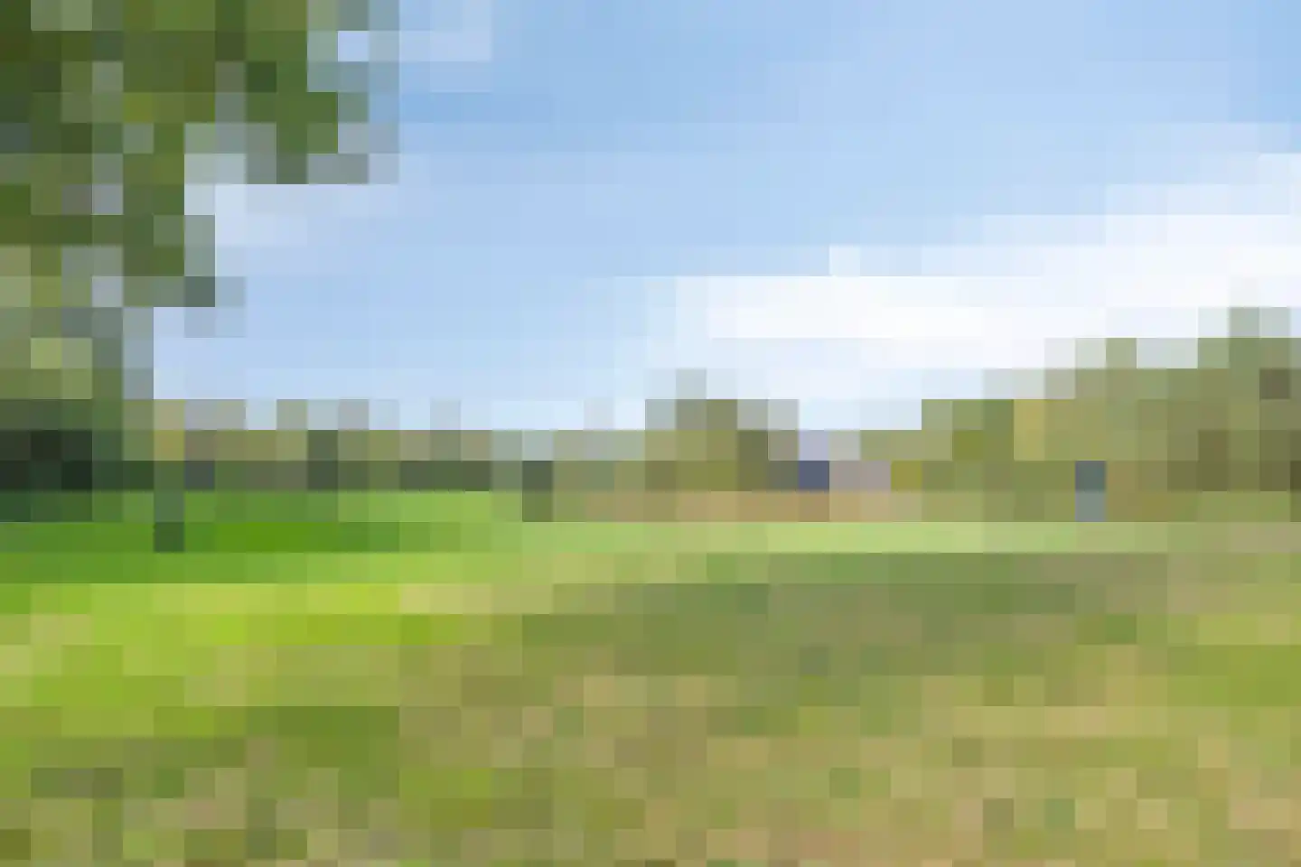Zwaai 4 Appelscha thumbnail 68