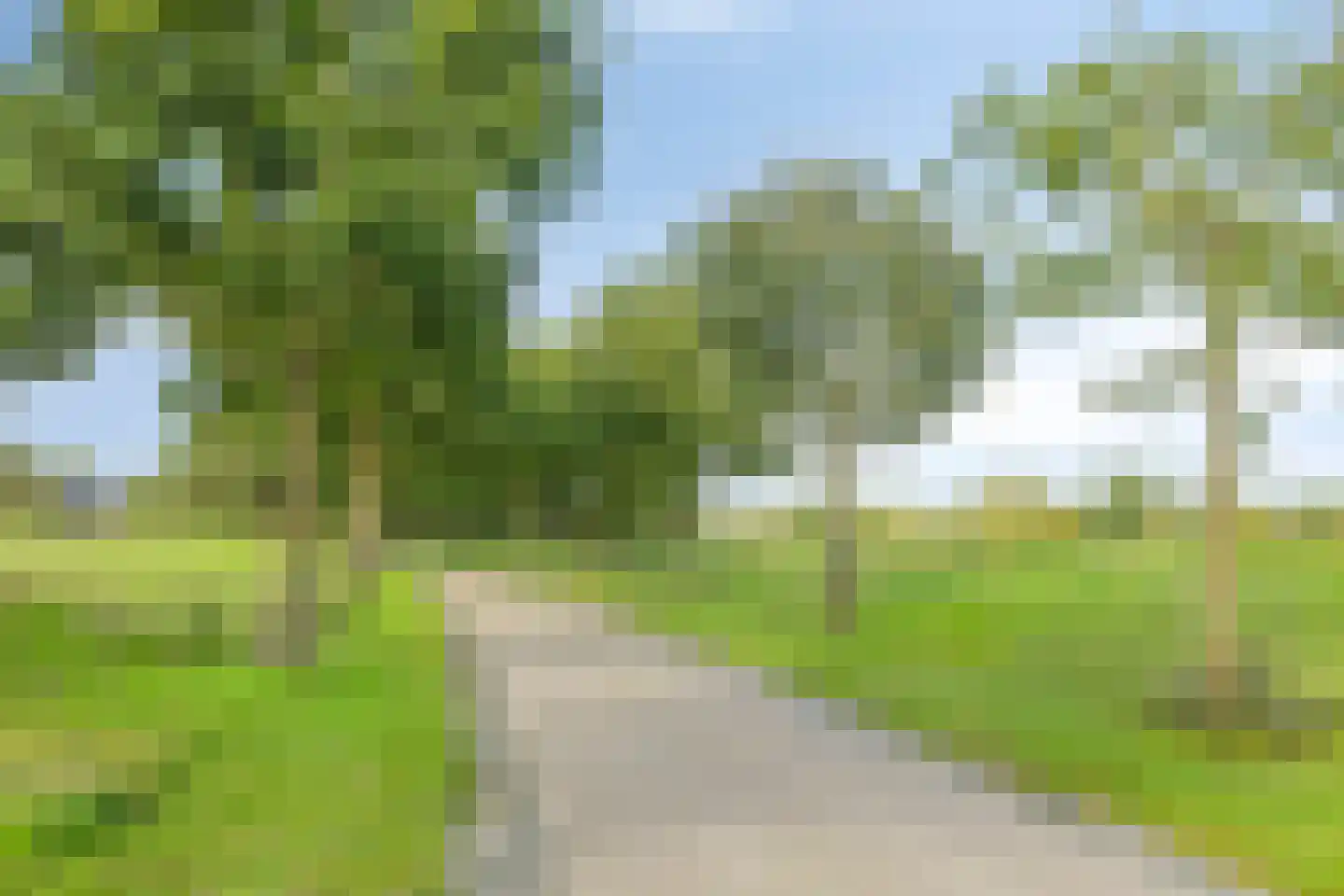 Zwaai 4 Appelscha thumbnail 69