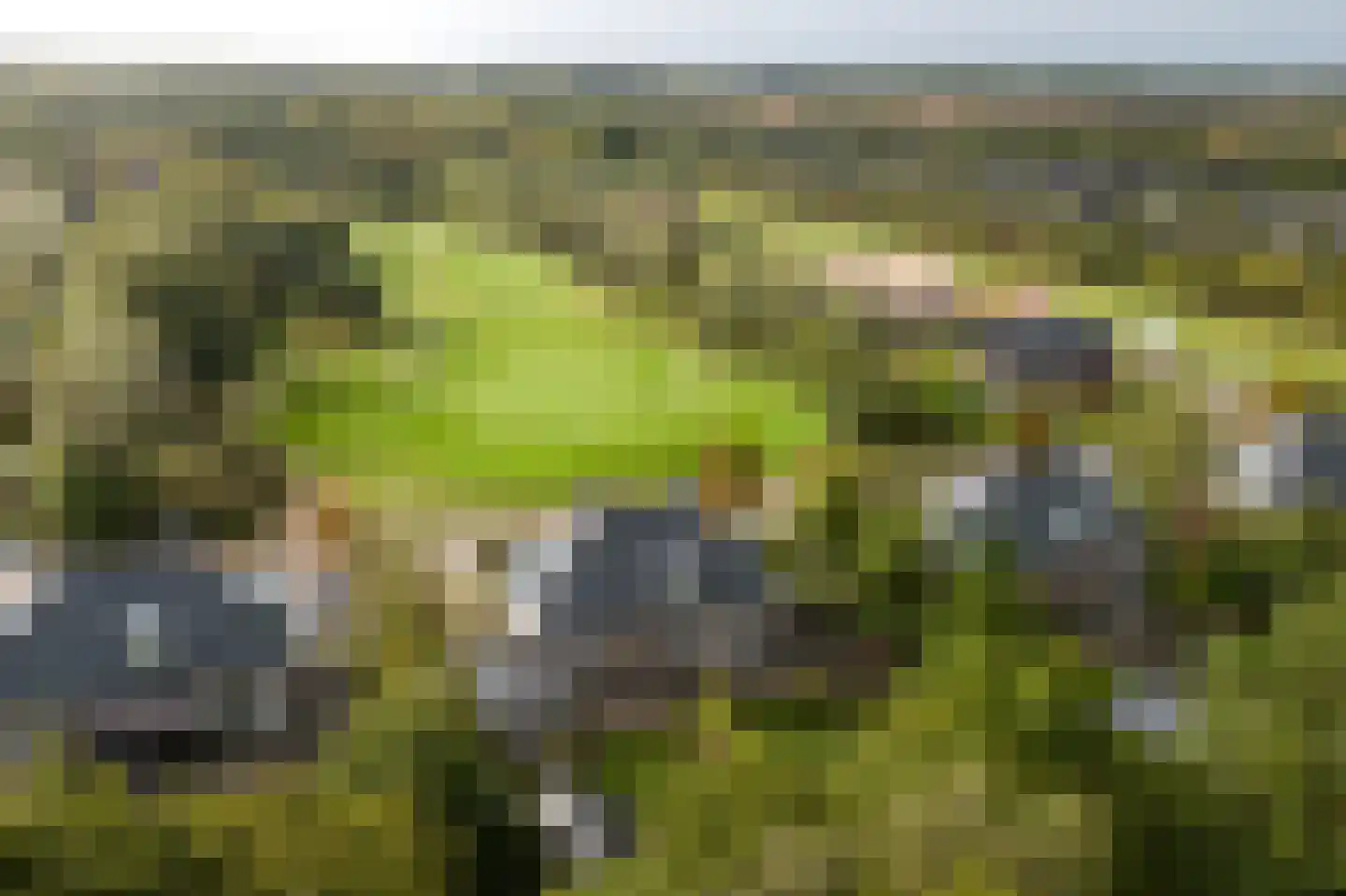 Zwaai 8 Appelscha foto 2
