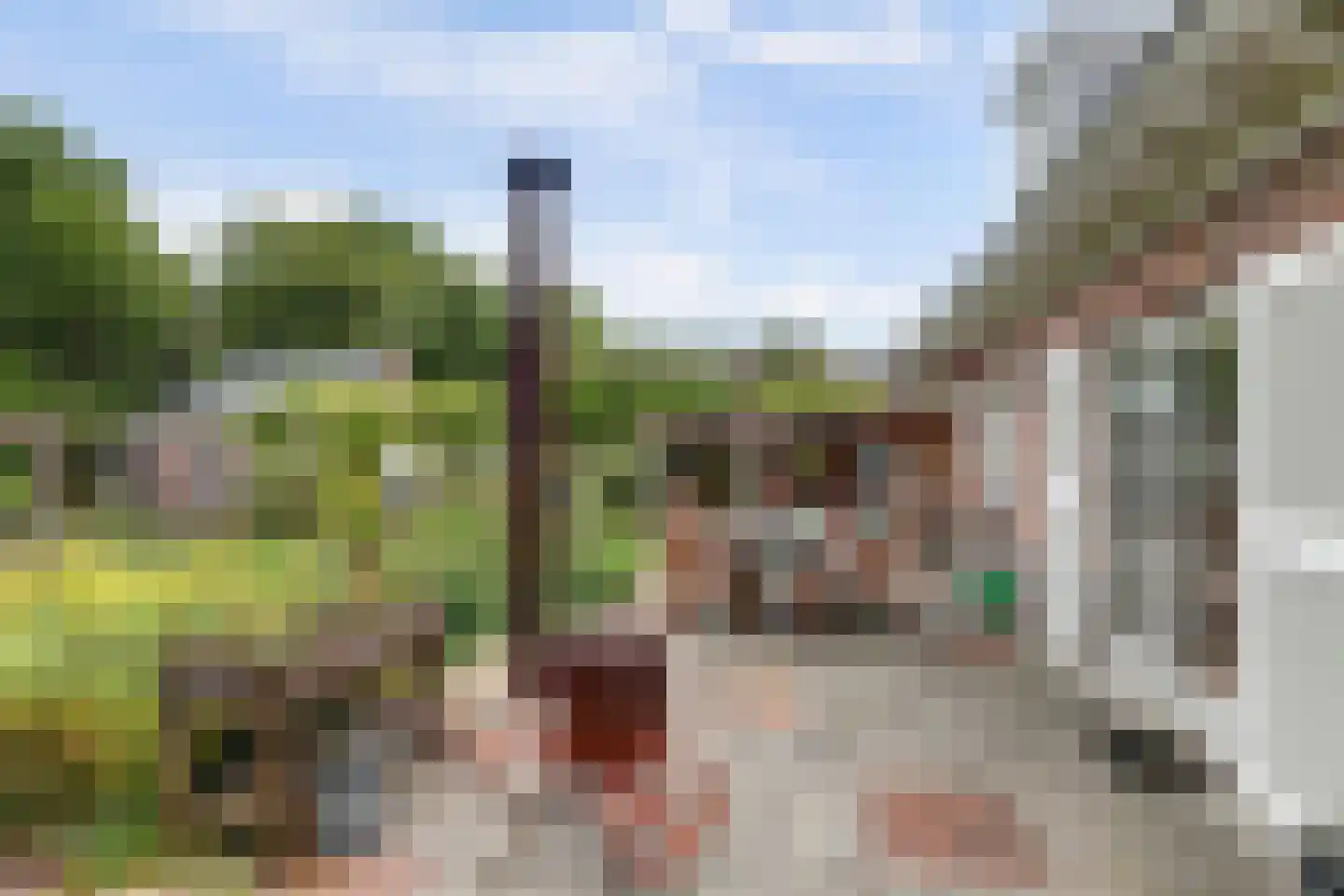 Zwaai 8 Appelscha thumbnail 23