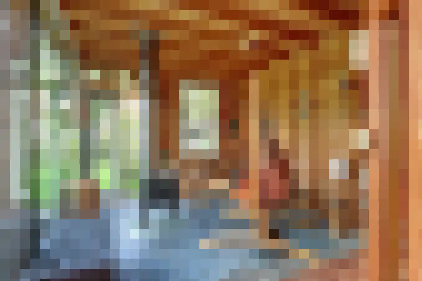Zwaai 8 Appelscha thumbnail 24