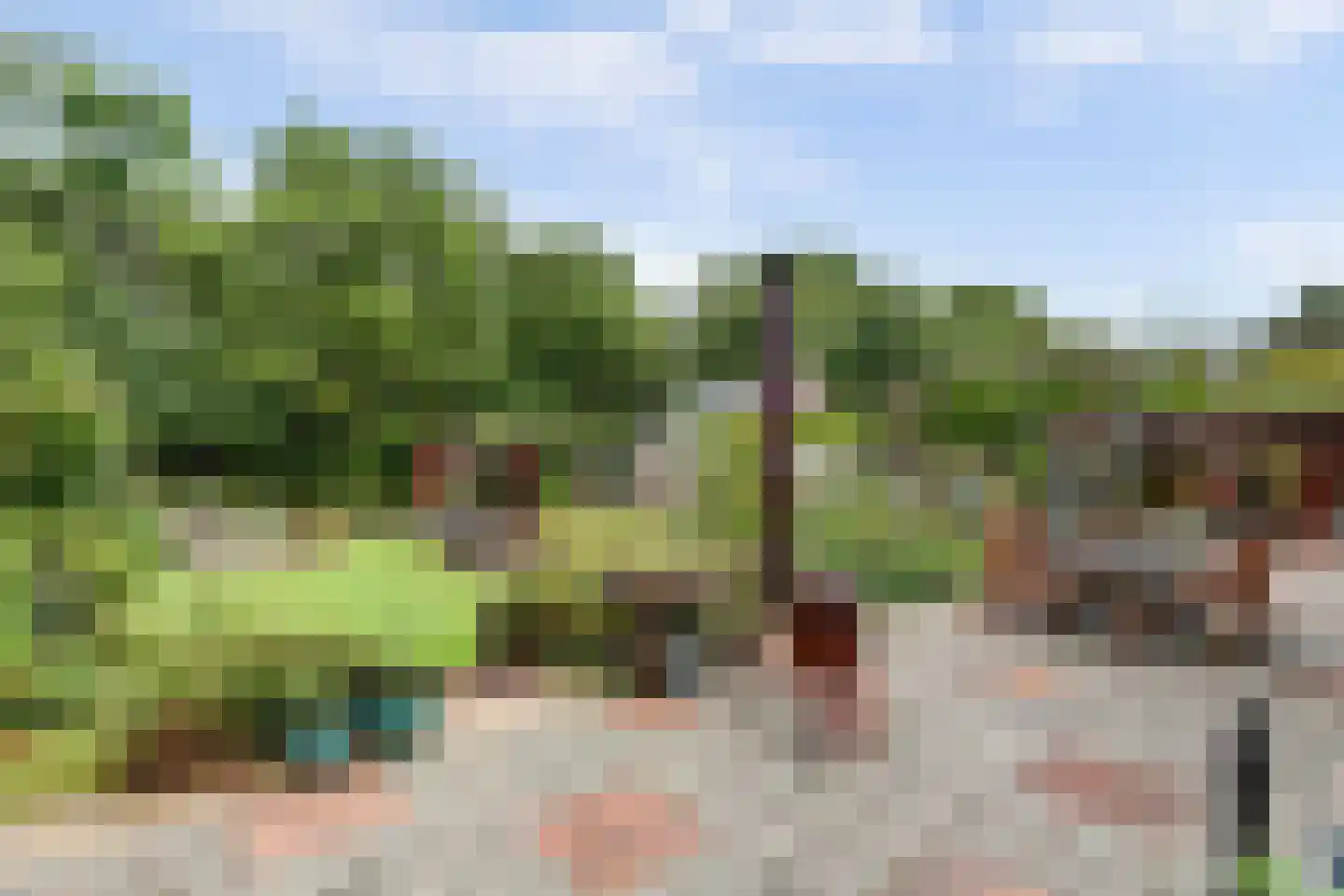 Zwaai 8 Appelscha thumbnail 28