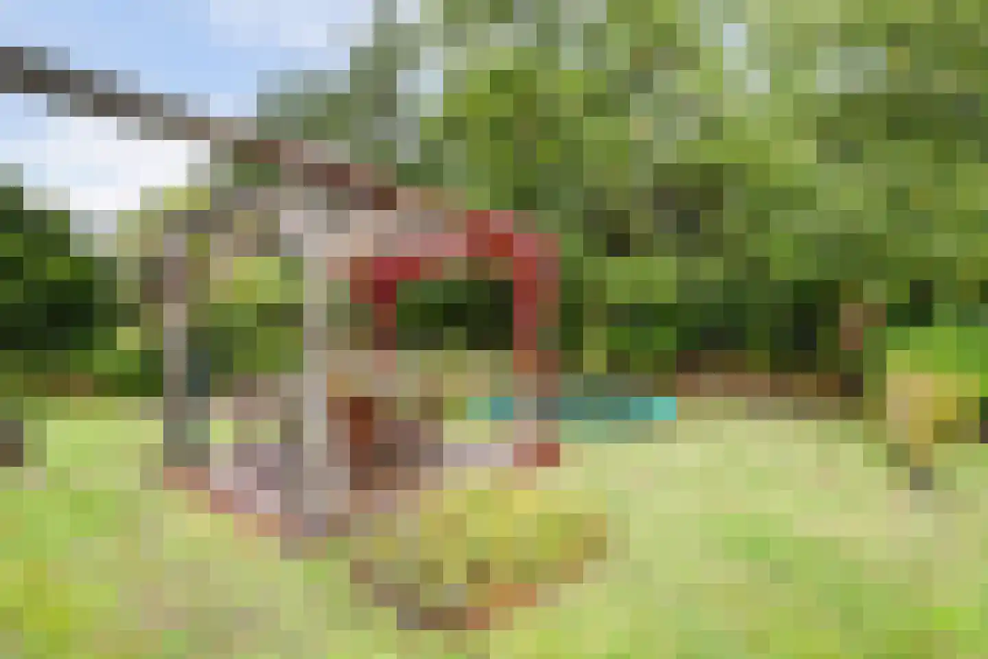 Zwaai 8 Appelscha thumbnail 29